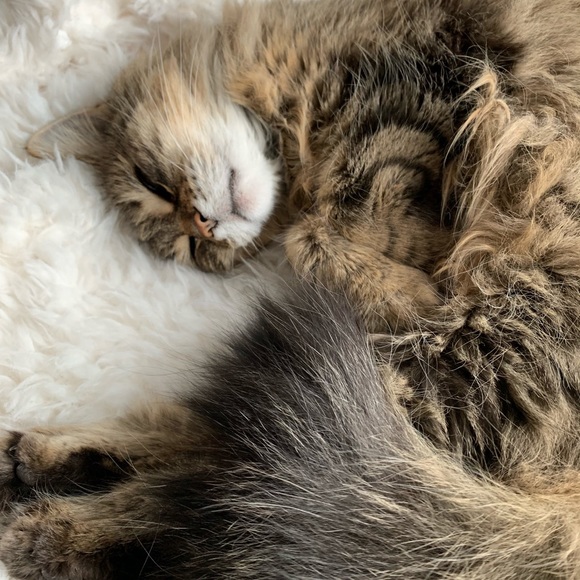 Meet your Posher, Krista - Picture 1 of 1